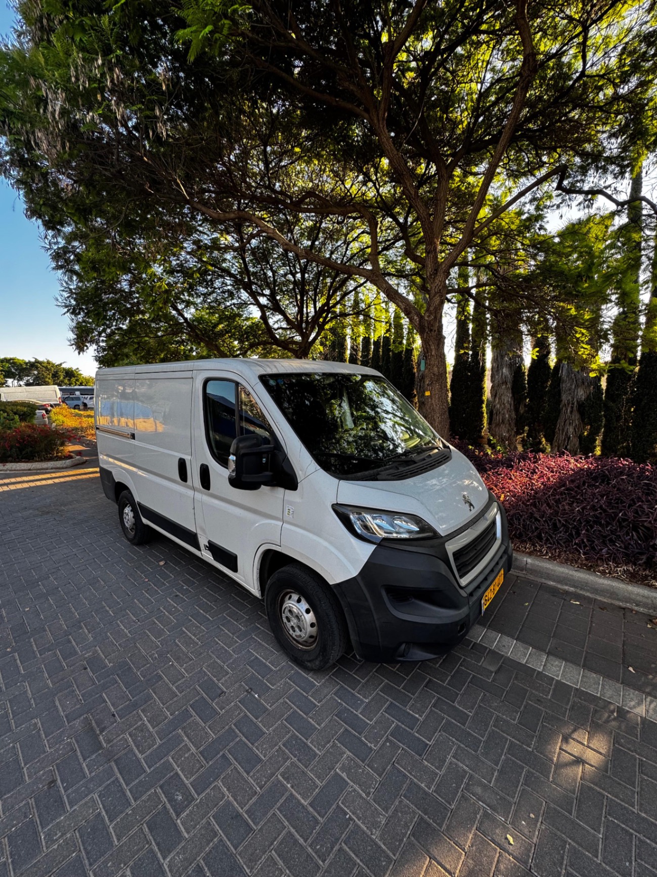 בוקסר קצר נמוך - Image 2