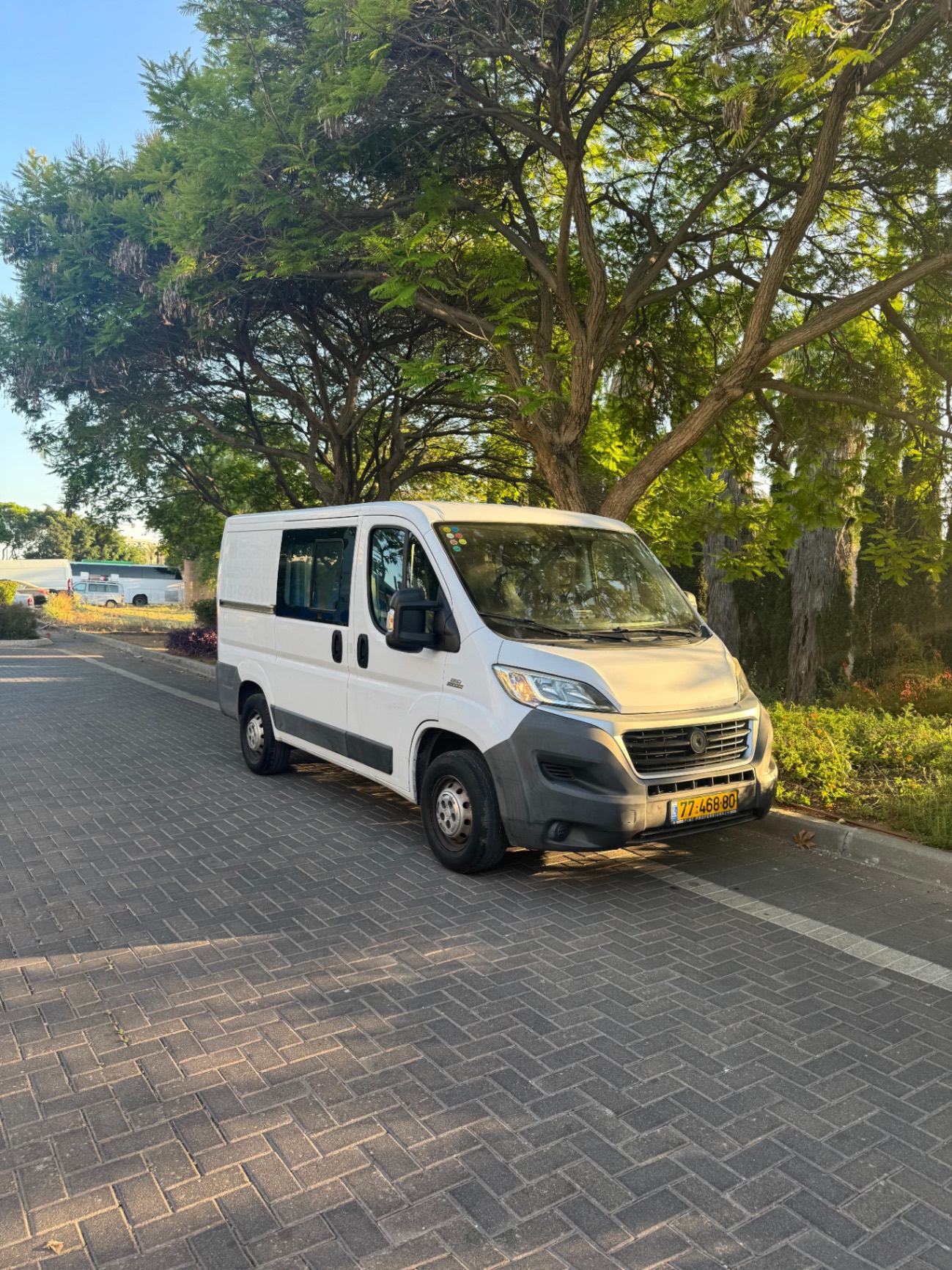 דוקאטו קצר נמוך