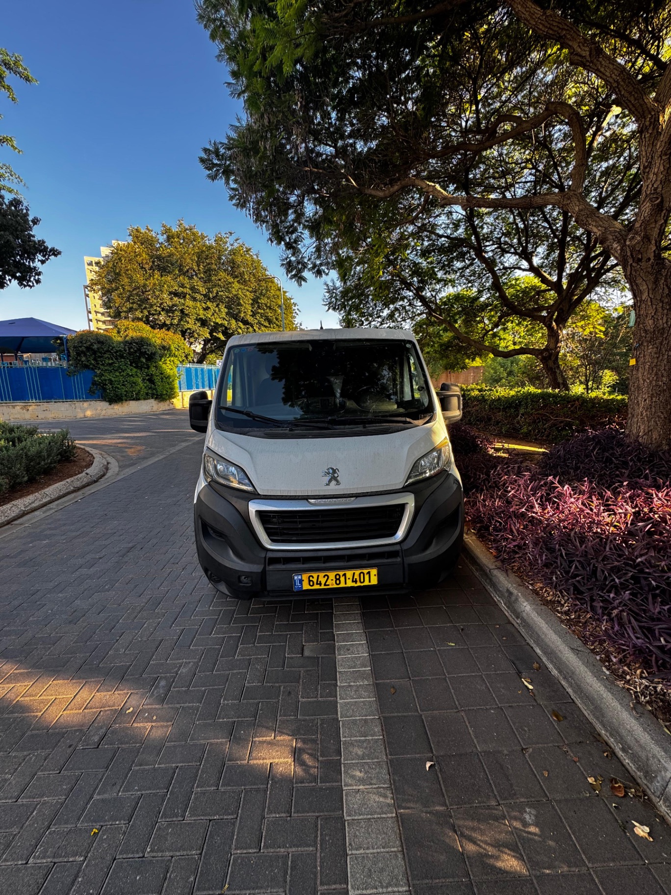 בוקסר קצר נמוך