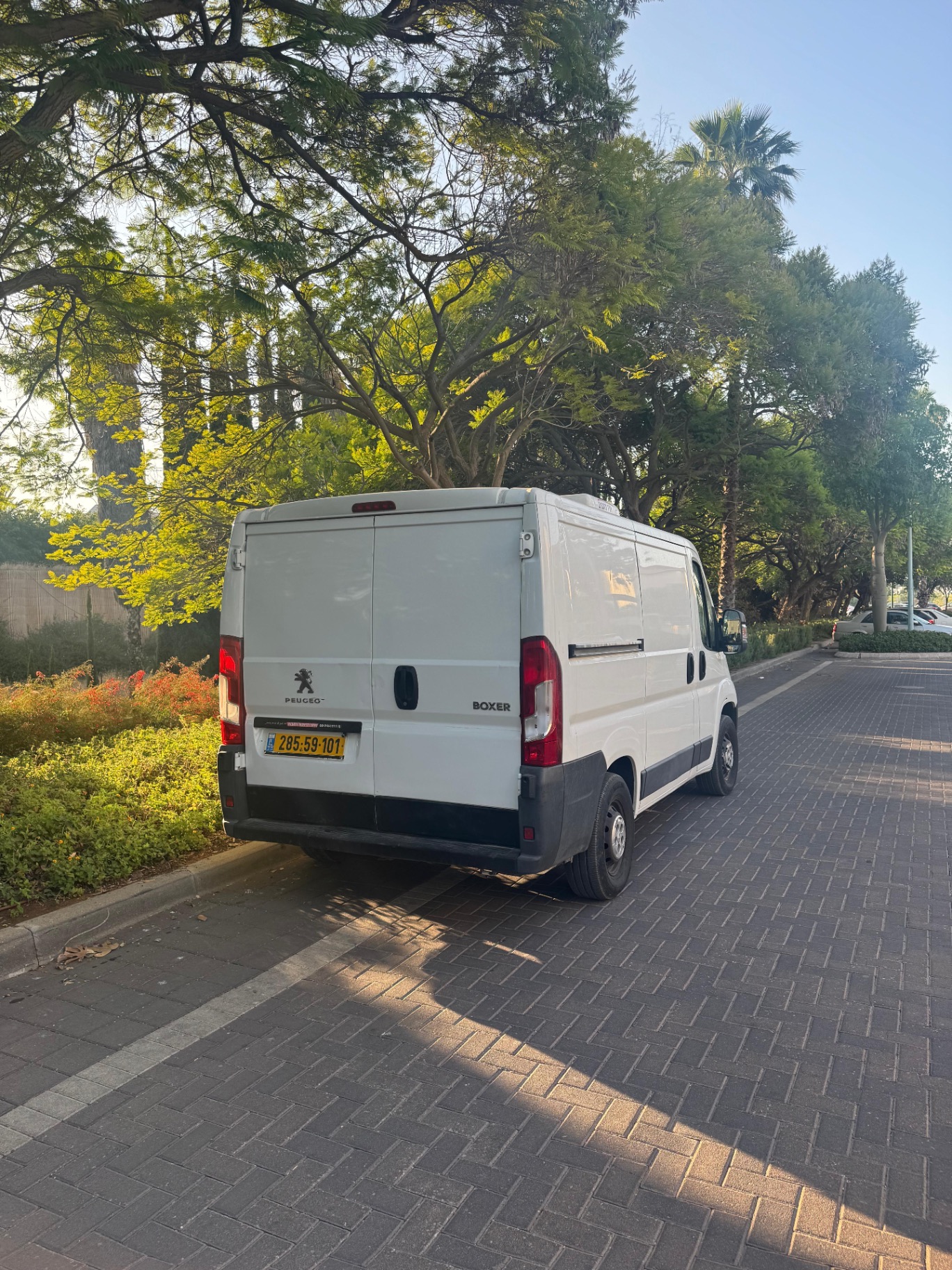 בוקסר קירור קצר נמוך - Image 2